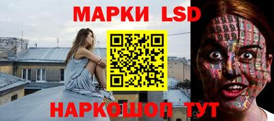дмт Гусев