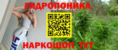 дмт Гусев
